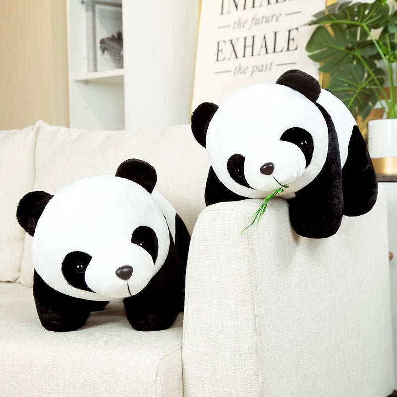 Peluş Panda Ayı