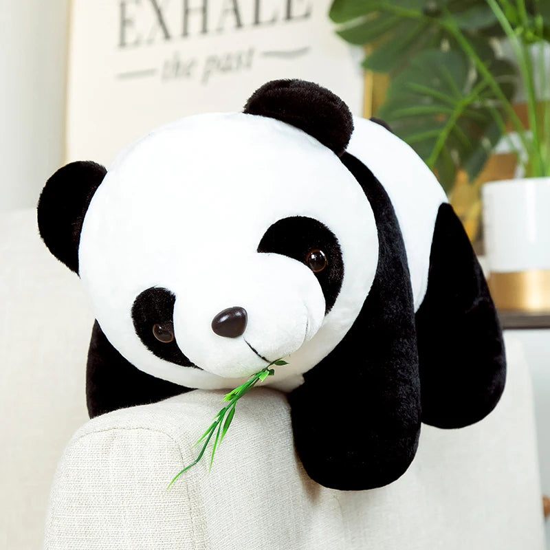 Peluş Panda Ayı