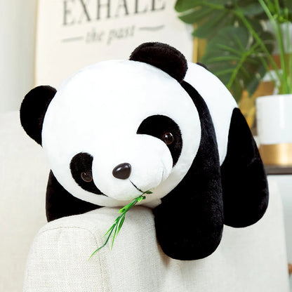 Peluş Panda Ayı